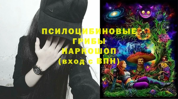 a pvp Абаза