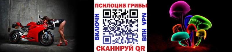 закладка  Красково  Псилоцибиновые грибы мицелий 